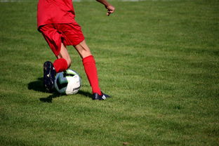 开云·体育官网APP下载-NBA球队青训体系建设与人才储备,nba青年队